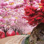 Blog完山公園