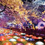 Blog鎮海賞櫻3