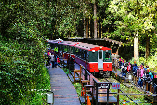 嘉義景點 阿里山國家森林遊樂區 一覽阿里山神木車站 紀念亭 遺蹟 趣吧旅行筆記