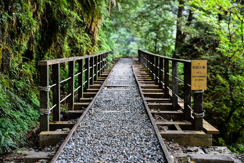 宜蘭太平山 世界級的美景 見晴懷古步道 趣吧旅行筆記