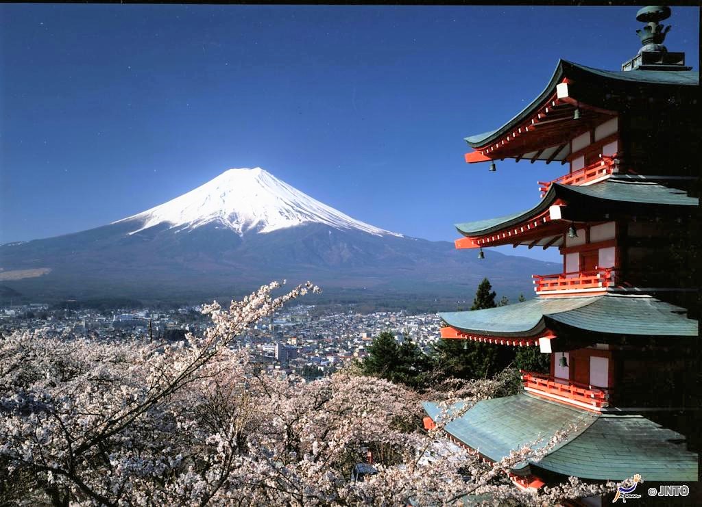 日本富士山賞櫻景點-新倉山淺間神社