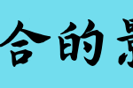 網頁設計