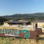 Yambaru Discovery Forest