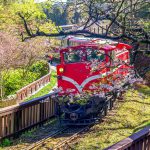 railway-in-alishan-forest-recreation-area-in-chiayi-625545191