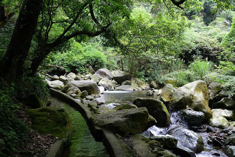 炎炎夏日踩水去！5處夏日消暑瀑布精選
