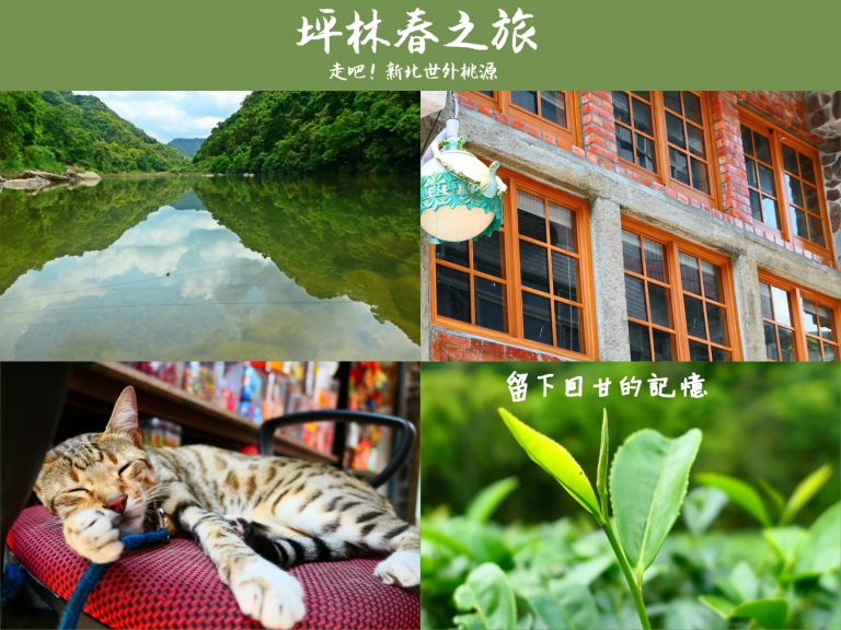 新北坪林｜循著茶香，來趟回甘的春之旅！