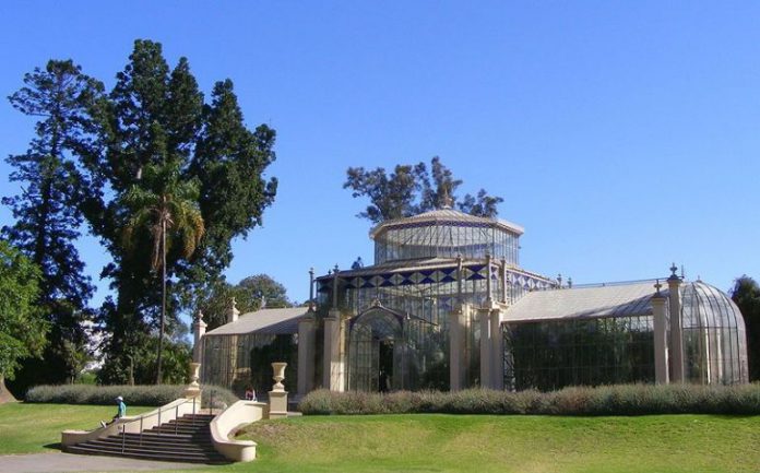 800px-Palm_house_Adelaide_Botanic_Gardens_-_oblique