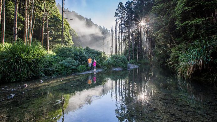 阿溪縱走路線景點-水漾森林