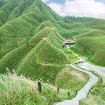 北部賞芒草景點-抹茶山