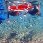 龍洞灣海洋公園浮潛