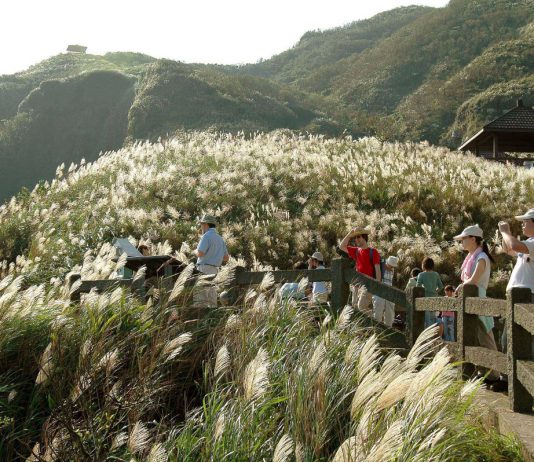 首圖來源：東北角暨宜蘭海岸國家風景區管理處