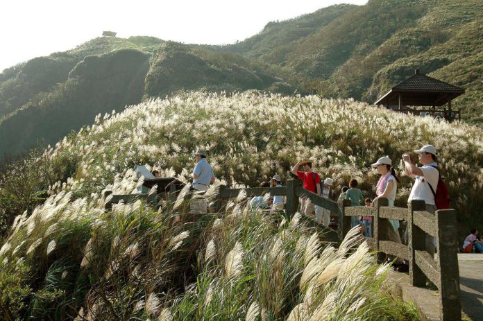 首圖來源：東北角暨宜蘭海岸國家風景區管理處