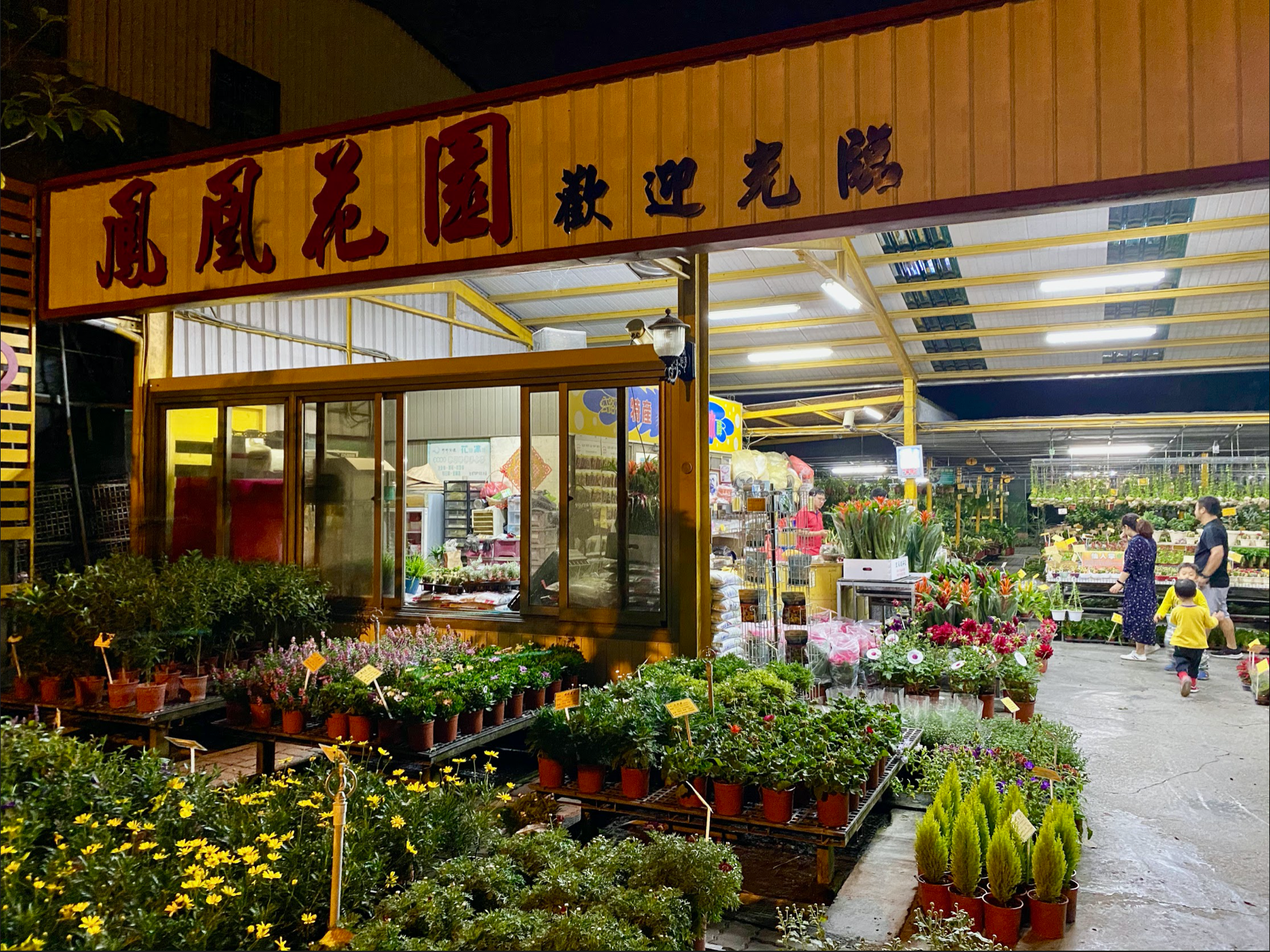 彰化田尾單車小旅行 鳳凰花園 趣吧旅行筆記