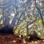 塔曼山登山步道沿途景色