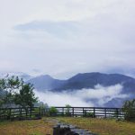 塔曼山周邊景點-布列塔尼咖啡莊園雲海