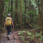 苗栗加里山登山步道-伐木台車鐵軌