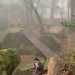 苗栗加里山步道環境