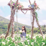lily