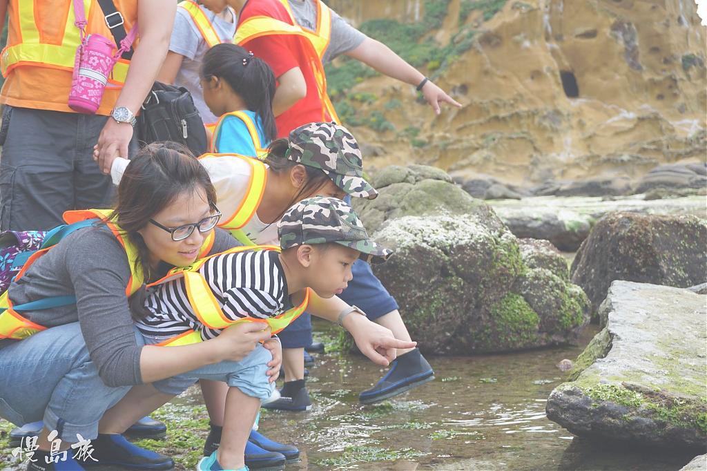 和平島公園推薦玩法-潮間帶日間探索