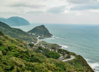 花蓮高山森林基地-00