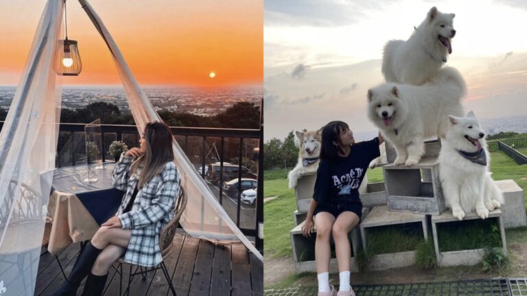 全台景點｜特色夜景餐廳，狗狗一起吃、原民風和神隱少女！