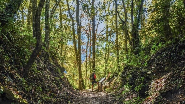 全台步道｜六個歷史遺跡、部落文化台灣山林步道推薦！