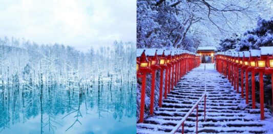 japan winter sonw place 0