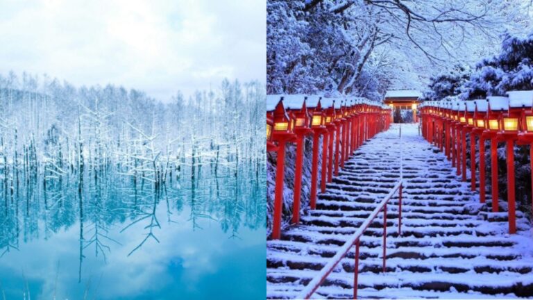日本冬季賞雪景點10選｜走進浪漫雪國流冰Ｘ冰雪湖泊全攻略