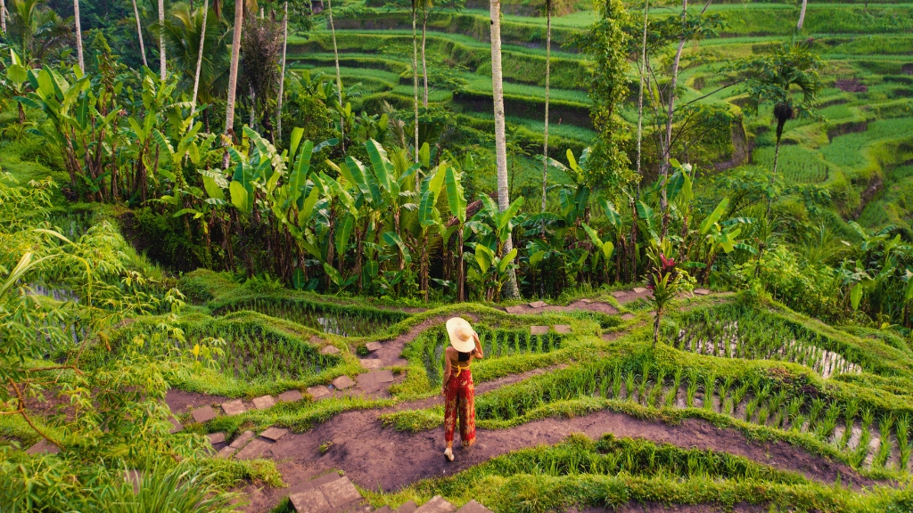 【趣吧】2026峇里島旅遊全攻略!深度行程、交通、住宿推薦一次看 1 indonesia bali travel 1