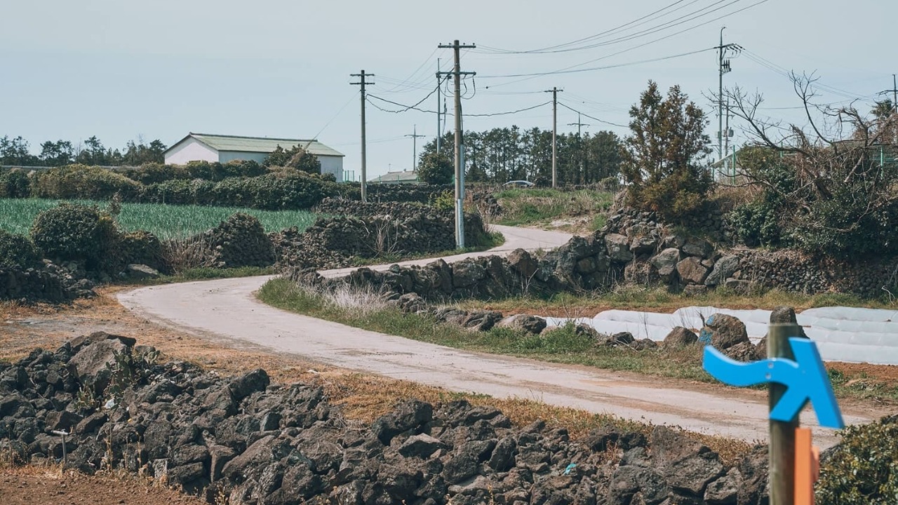 濟州偶來小路 Jeju Olle Trail