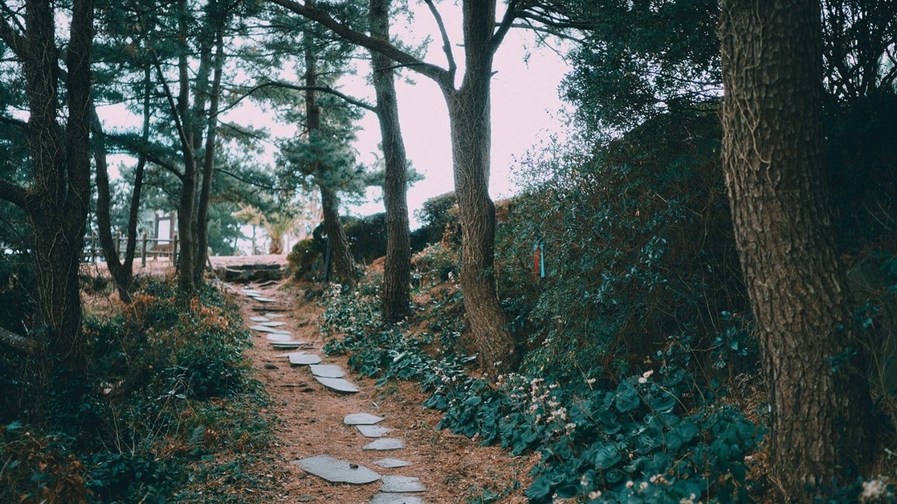 濟州偶來小路 Jeju Olle Trail