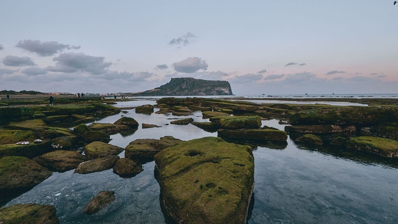 濟州偶來小路 Jeju Olle Trail